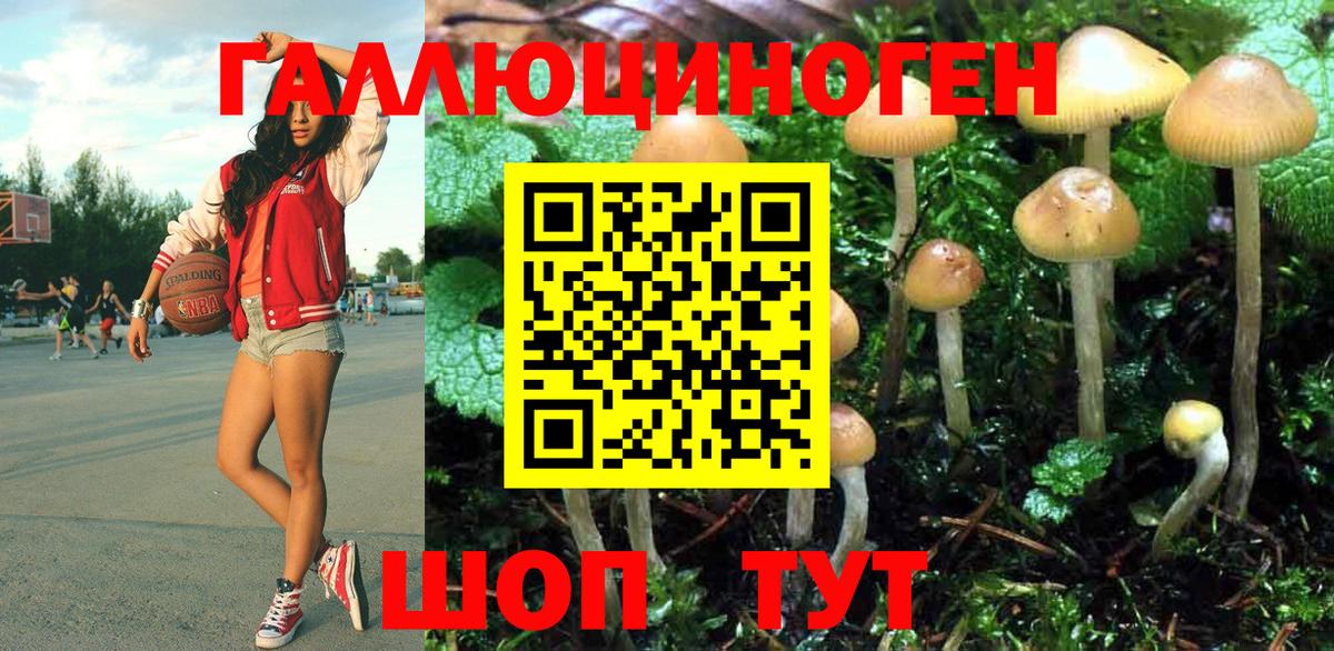 Галлюциногенные грибы Cubensis Уварово