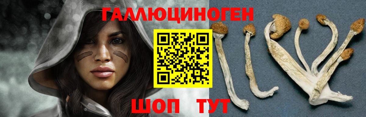 Псилоцибиновые грибы ЛСД  где купить наркоту  Уварово  Вход с VPN 
